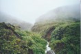 /album/flore-et-paysages/g45-jpg/